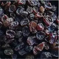 Draksha (Vitis Vinifera)